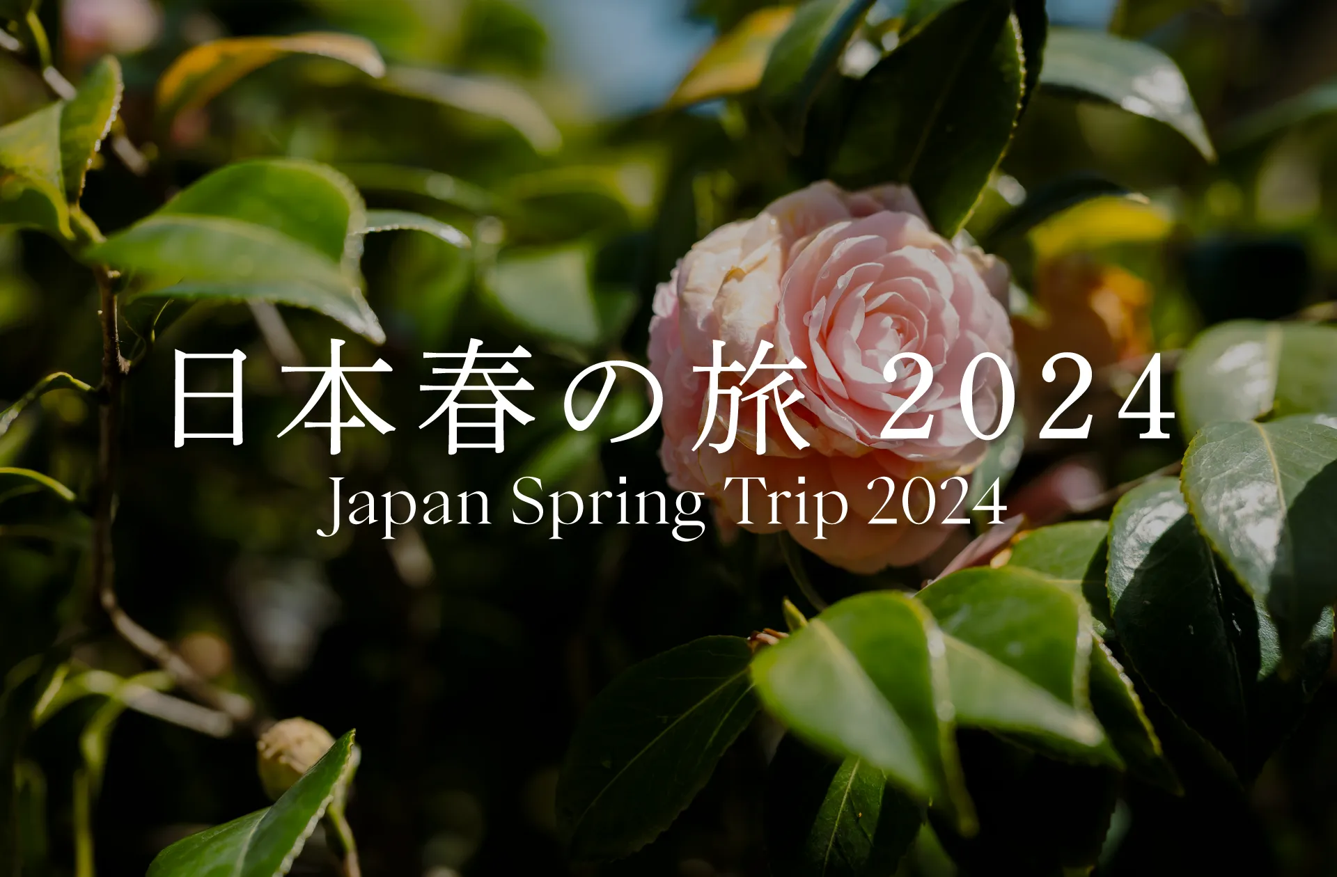 JP-2024-Spring-Thumbnail-v1.1_Main_1920x1260